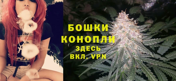 бутират Богородицк