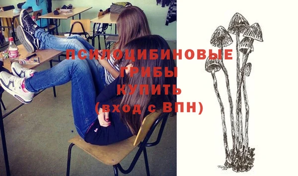 бутират Богородицк