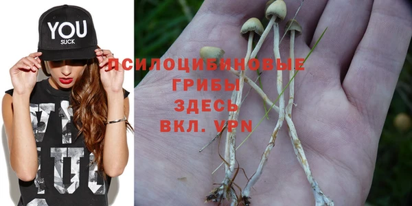 бутират Богородицк