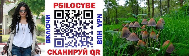 где найти   Острогожск  Псилоцибиновые грибы мухоморы 